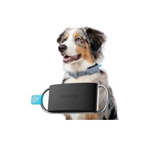 Prodotti Elettronici per Pet: Tecnologia e Comfort per i Tuoi Animali